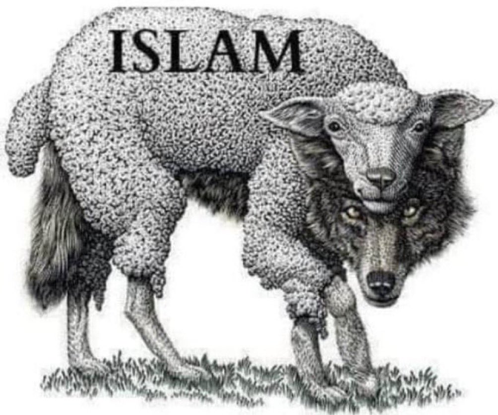 Salwan_Momika1's tweet photo. This is how Islam entered the West https://t.co/540iJLoVS2