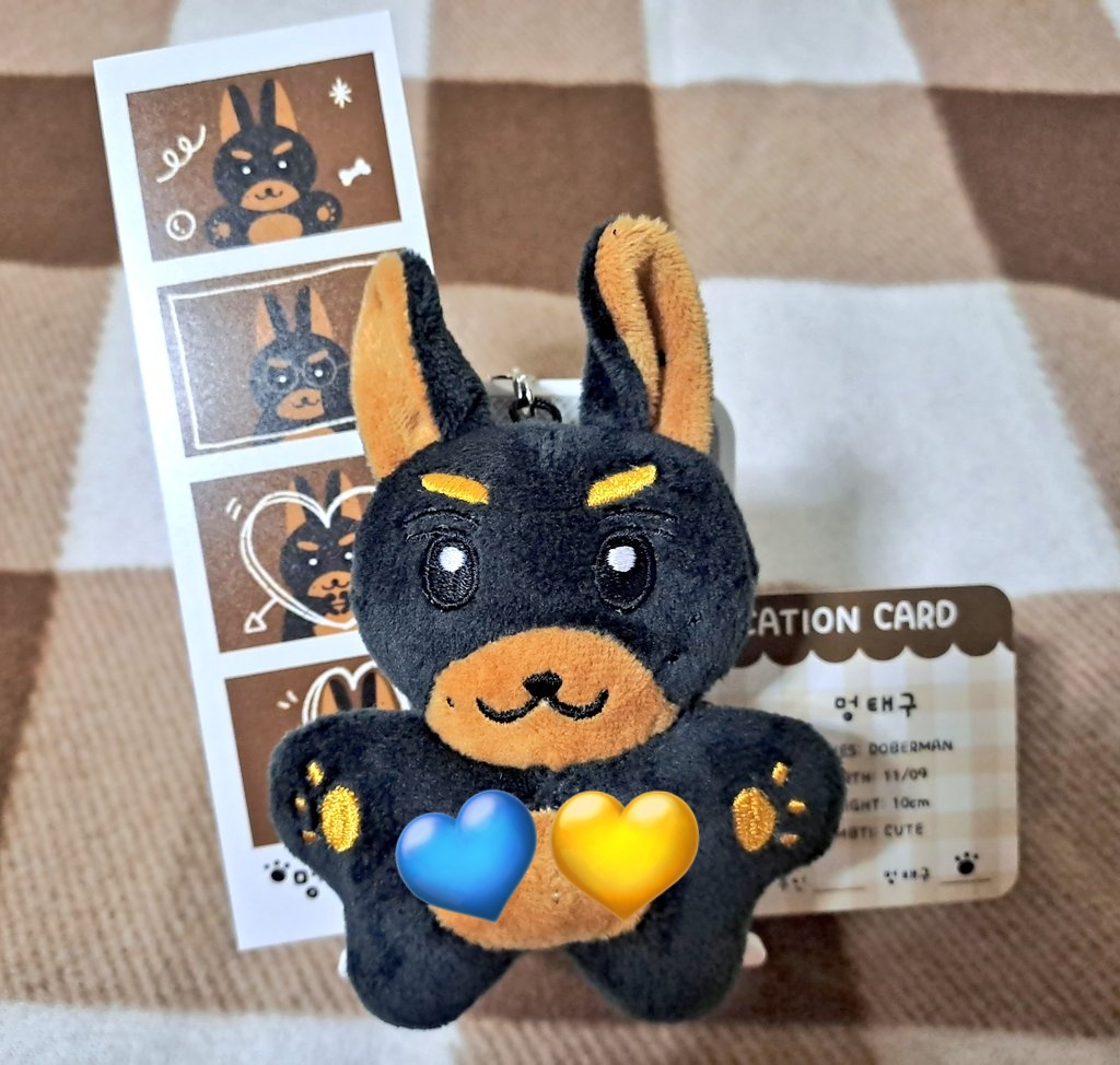 RuelMHwi59's tweet photo. 🤎 곱게자란 도베르만 🖤 멍태구 🖤
10cm 인형은 처음이라 너므 쟈그마해,,,🥹🥹
귀여운 멍태구 제작해주셔서 감사합니다🥰🥰
🐶 @mungtaegoo 🐶 https://t.co/mkOAsbYsvO