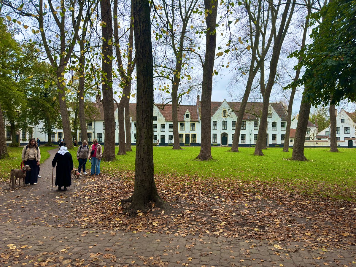 #Allerheiligen #Allerzielen
#AllSaints #AllSouls

Beguinage Saint-Elisabeth, #Bruges 🇧🇪
Begijnhofkerk Sint-Elisabeth, #Brugge