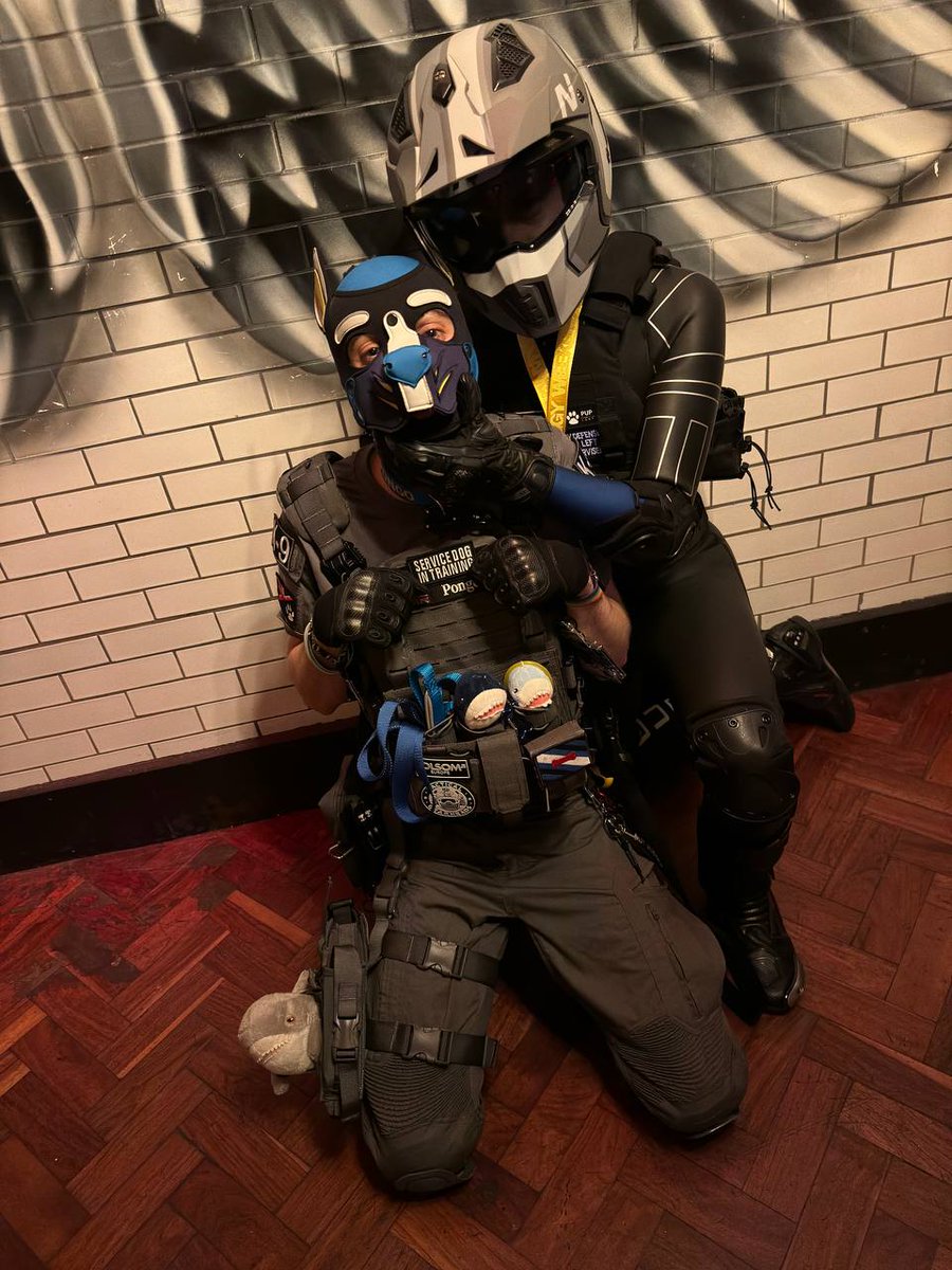 Look at this good boy (<a href="/PongoPuppy/">Pongo🔜</a>) I found at <a href="/doggyweekend/">DoggyWeekendUK</a>.

He's so well behaved. 

The mandatory eagle photo.