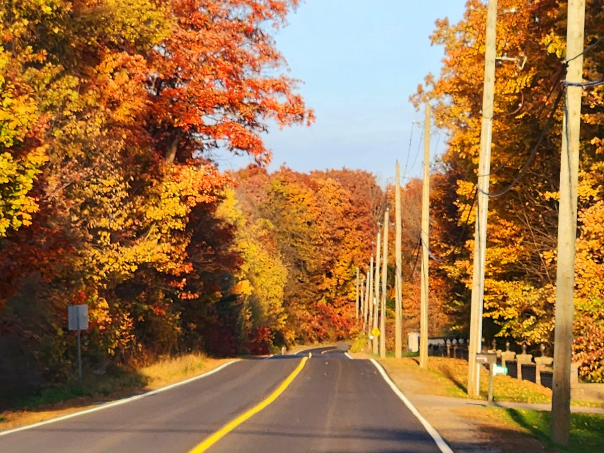 AgilitywAmanda's tweet photo. I feel so fortunate to have enjoyed such beautiful Canadian fall views during a quick drive last weekend 🥰🍁🍂
#canadianfallviews #fallincanada #fallinontario #fallcolours #fallcolourscanada #autumntime #autumncolors #autumninontario #falldrives https://t.co/tFp4GK38b0