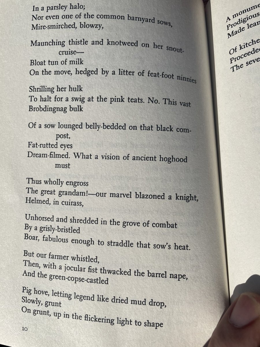 Cozeulodorieso tweet media