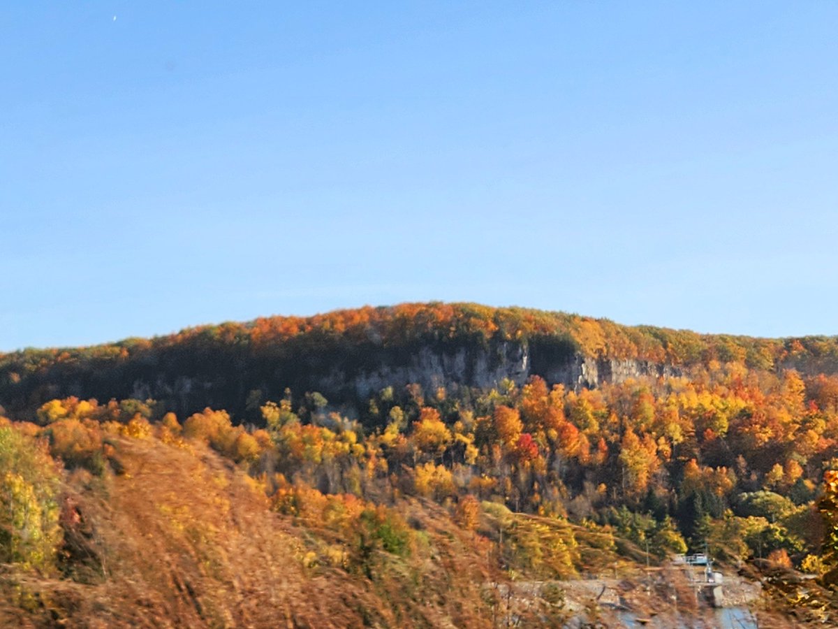 AgilitywAmanda's tweet photo. #fallinontario is beautiful ☺️🍁🍂
#canadianfallcolours #autumncolours https://t.co/Vfy6suCTzS