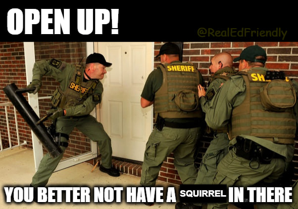 <a href="/elonmusk/">Elon Musk</a> the future is bright