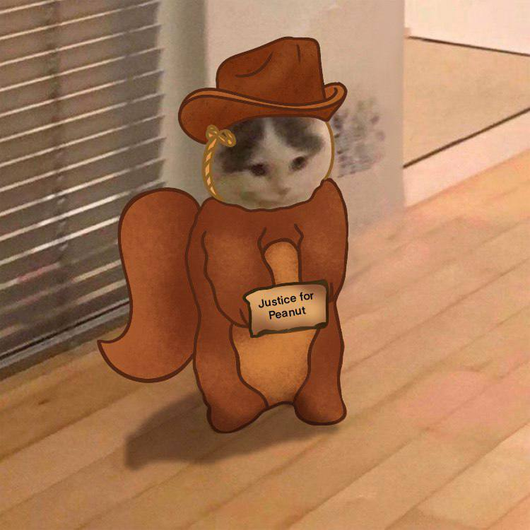 he didn’t do nothing