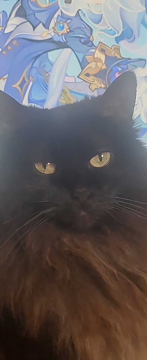 Eyvvie 🍉 (DEBUT SOON!) tweet media