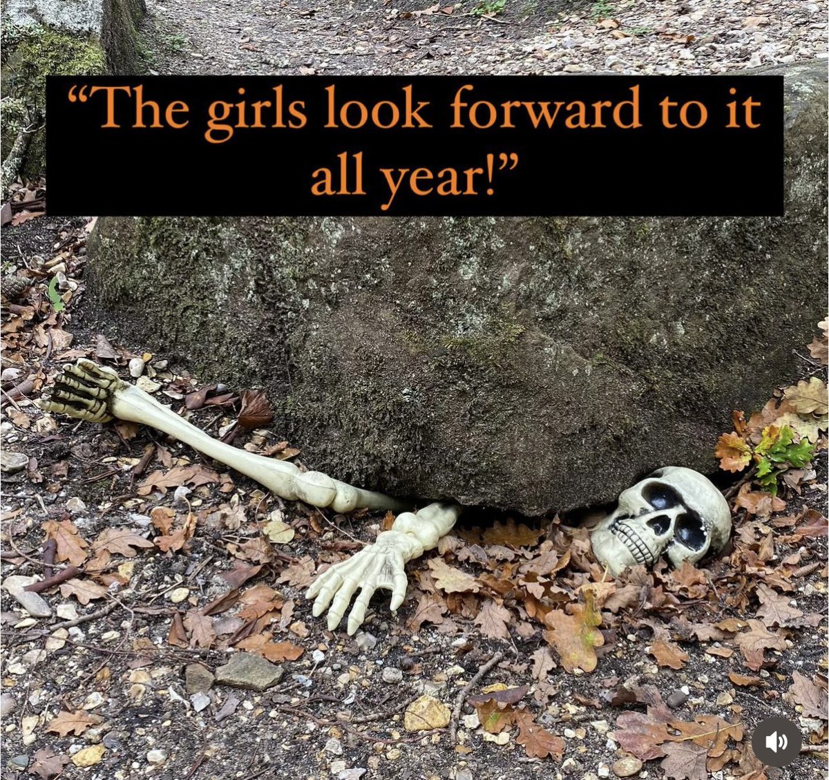 Tomorrow - 3rd November - is the last day of this year’s Halloween Ghost Train and Gruesome Trail! 

Avoid the #fomo and get your tickets now! 

exbury.co.uk/halloween-ghos…