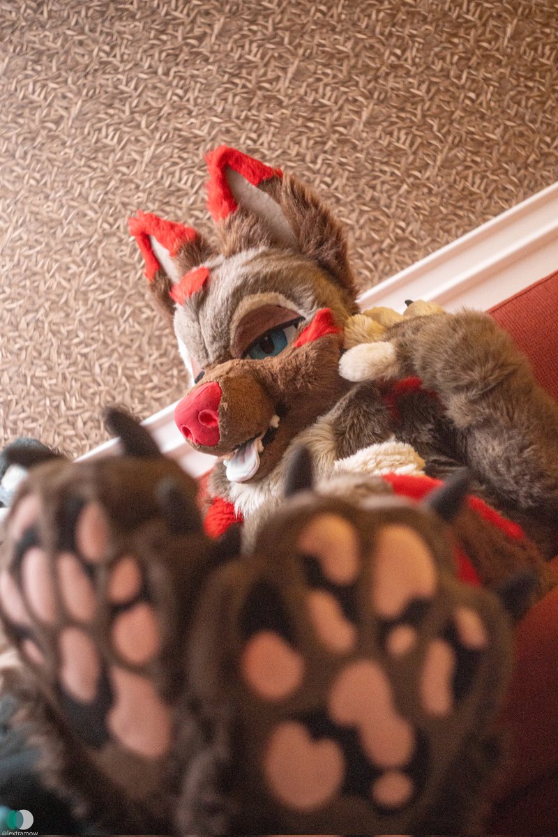 Just realised I haven't shown you my paws 🐾 yet ~ 
📸<a href="/lextramow/">Lexi McSwirl</a> 
🐾<a href="/DireCreatures/">DireCreatures</a> 
🪡<a href="/Coyote_Kanim/">🌵Kanim goes grrr 🌵</a>