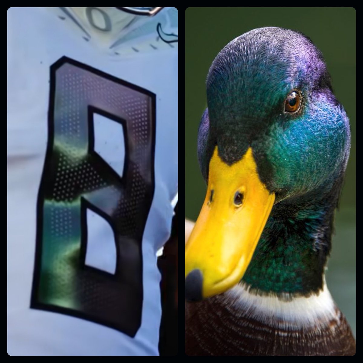 fashion_nfl's tweet image. It's the little things.