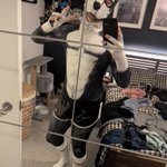 Photo by goose - inactive (@PupGoose)
