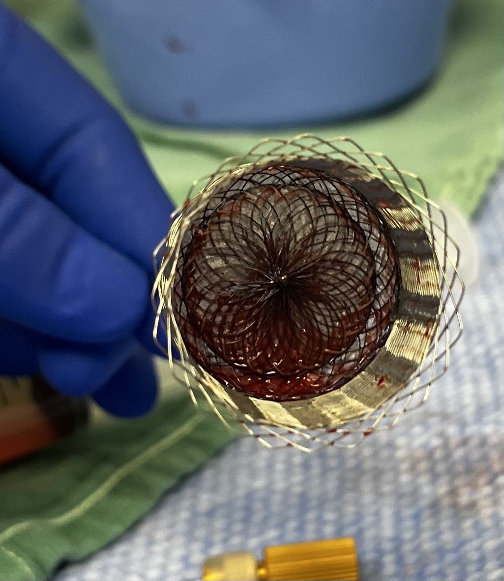 ŌNŌCOR tweet media