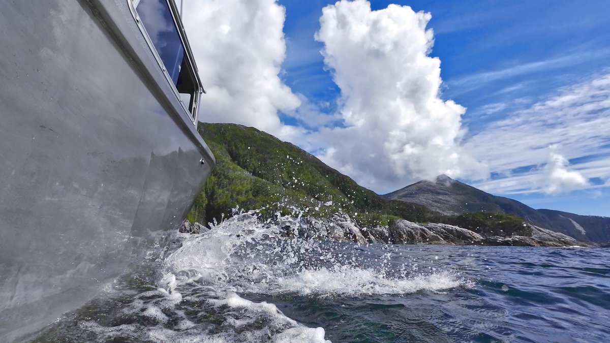 FishingResort's tweet photo. The competition in our 2024 photo &amp; video contest is fierce! 📸 
Vote NOW on Facebook:

https://t.co/HkZtNXKcD6 https://t.co/2GAleMSdDr