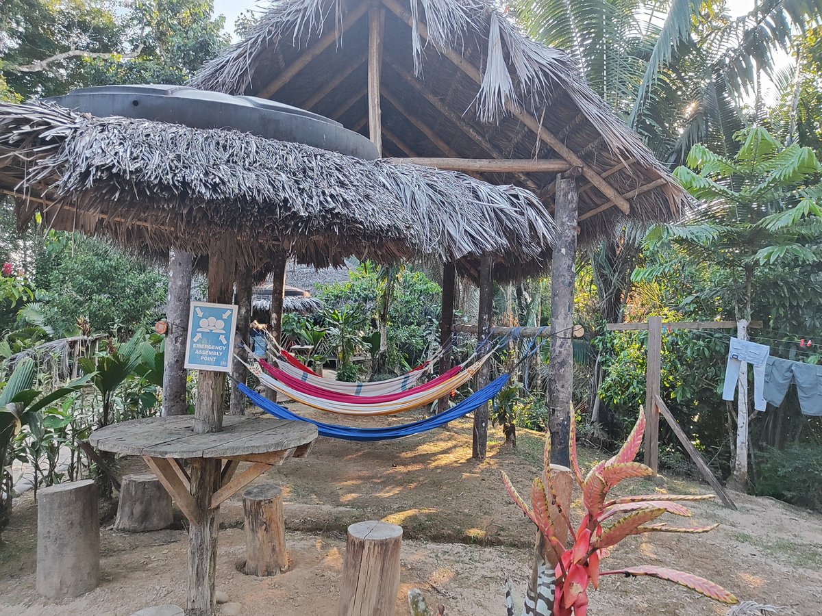 Camp Ecuador tweet media