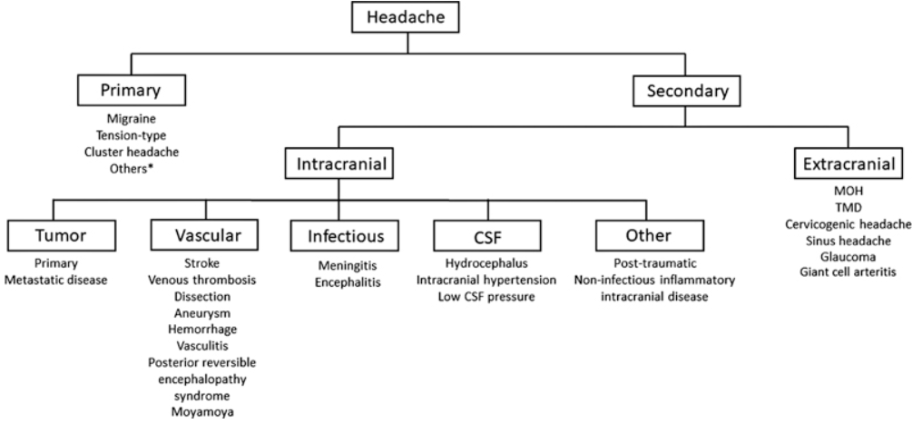 Differential diagnosis of primary versus secondary etiologies of headache, from "Headache Management in Individuals with Brain Tumor" by Dr. Ami Cuneo. Subscribe to Seminars in Neurology at bit.ly/3KsxVgn #neurology #neurotwitter