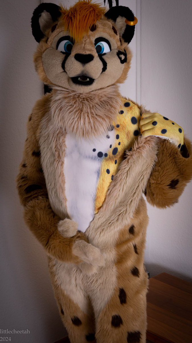 Did you know that cheetah’s spots remain even after shaving ?