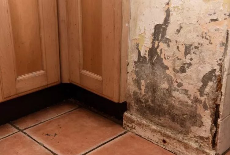 Senior Lieutenant Zandi Sussex tweet media