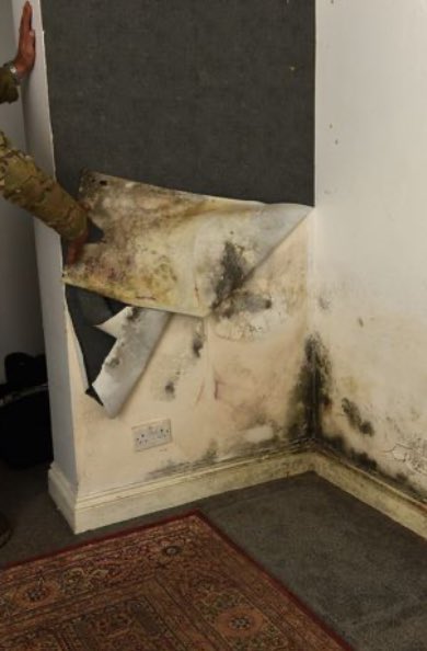 BREAKING NEWS🚨 Prince William is a SLUM LANDLORD! While he goes about his fake homelessness PR about “everyone having a right to a safe and stable home”, his own tenants live in sub-human conditions. Here are just a few pics.🤢

Article 👉 archive.is/s5bHY

#Channel4