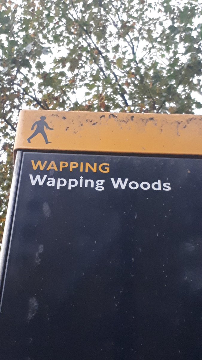 Can woods really wap?