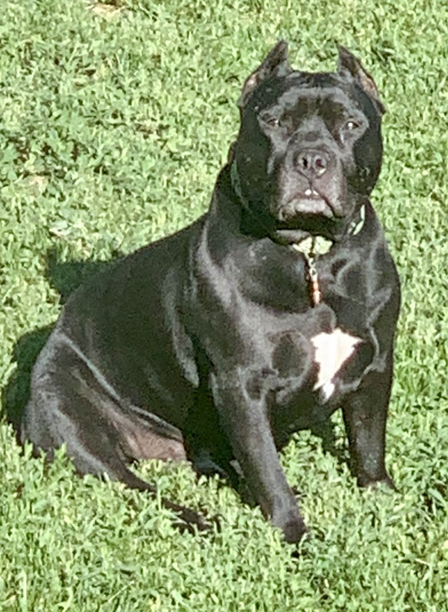 Dave Wilber tweet media