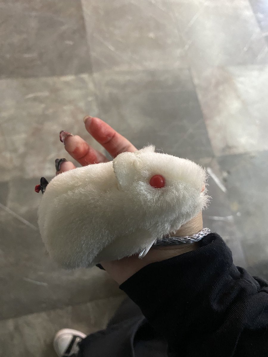 den_down0's tweet photo. Mi mini bolsita de ratón lleno de navajas por cualquier percance:3 https://t.co/zUqUJzeGUT