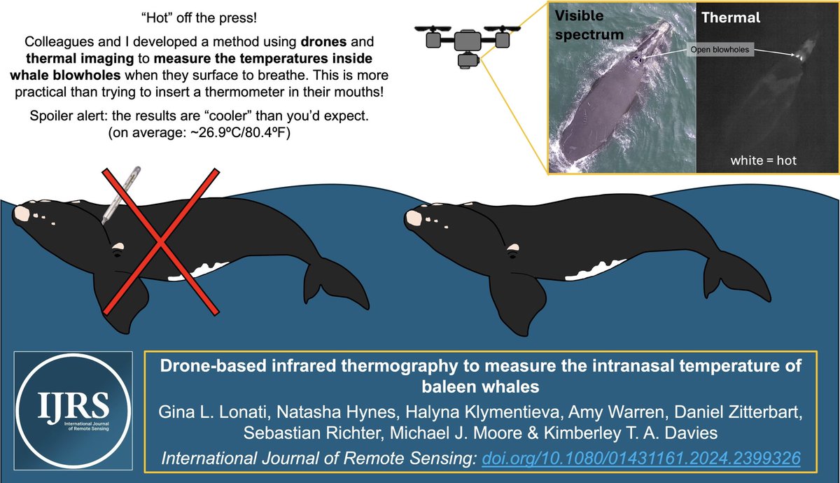 Gina Lonati, PhD tweet media