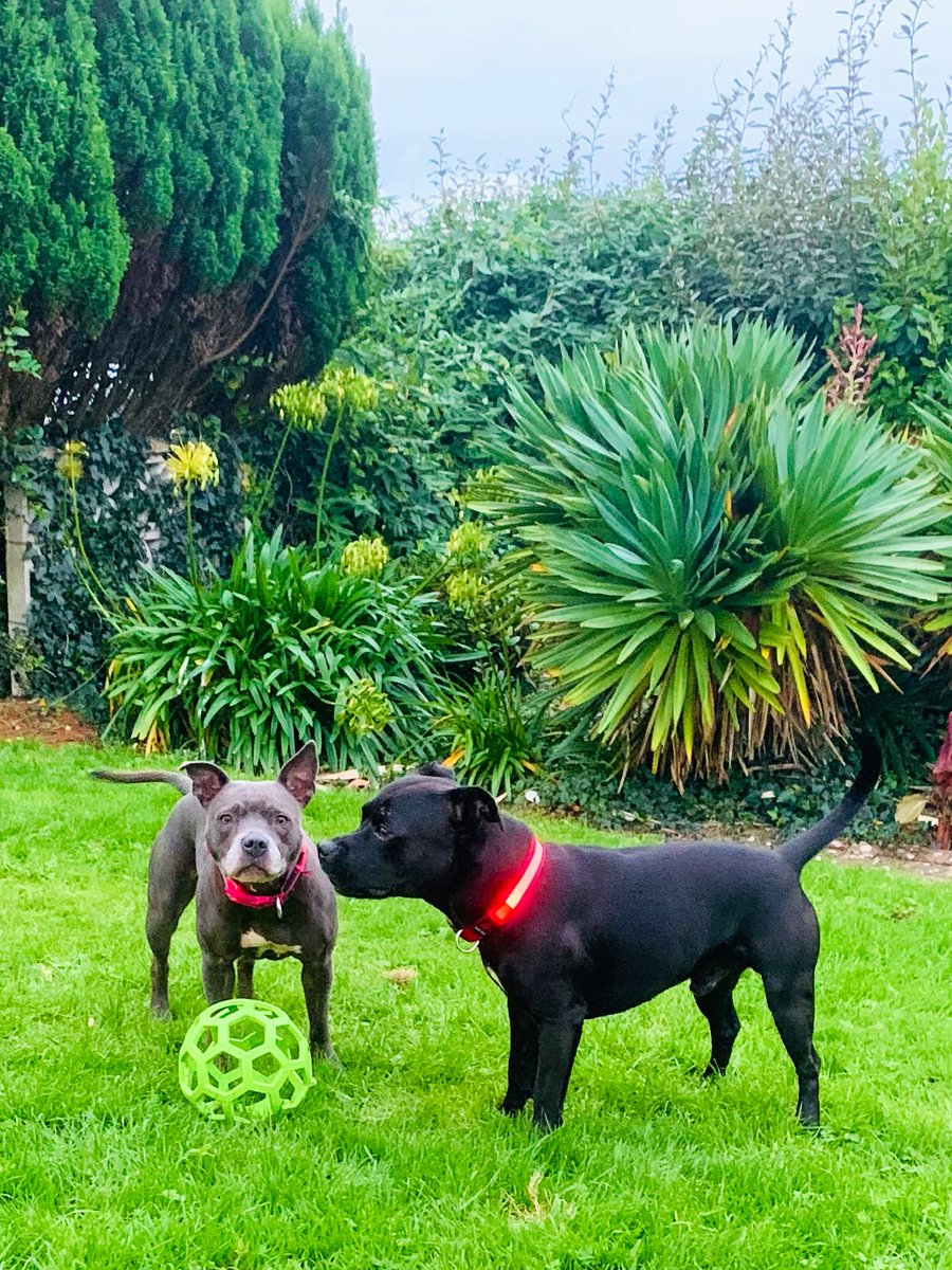 Isa Mary tweet media