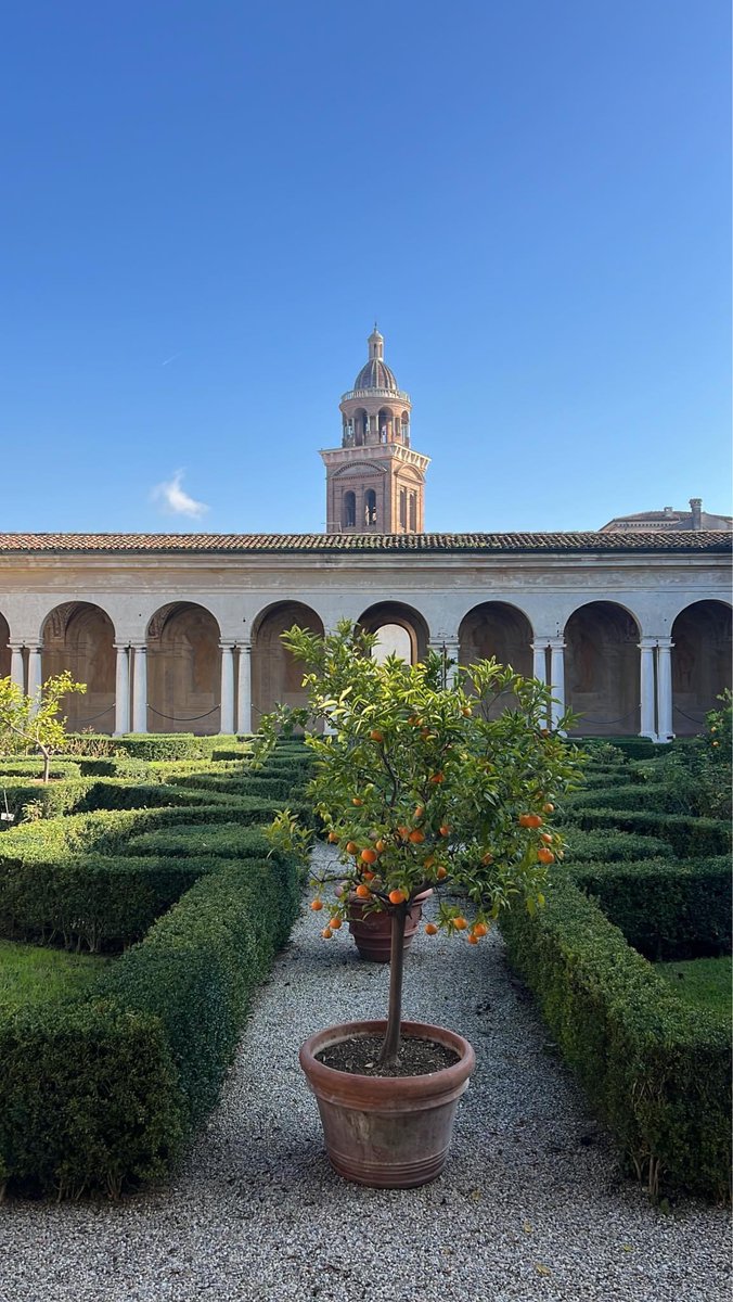 stedemasi's tweet photo. #mantova https://t.co/FYQNFBNJyx