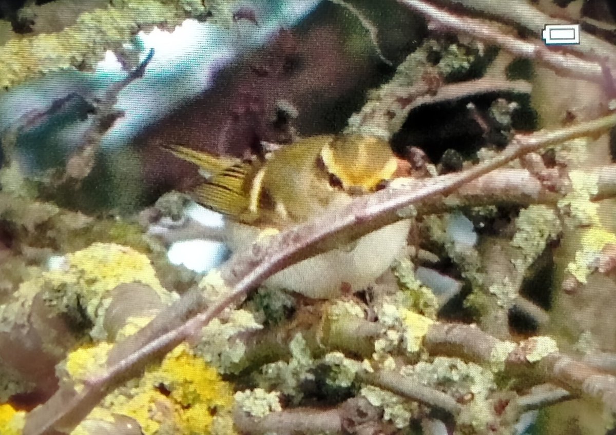 Mick Turton tweet media