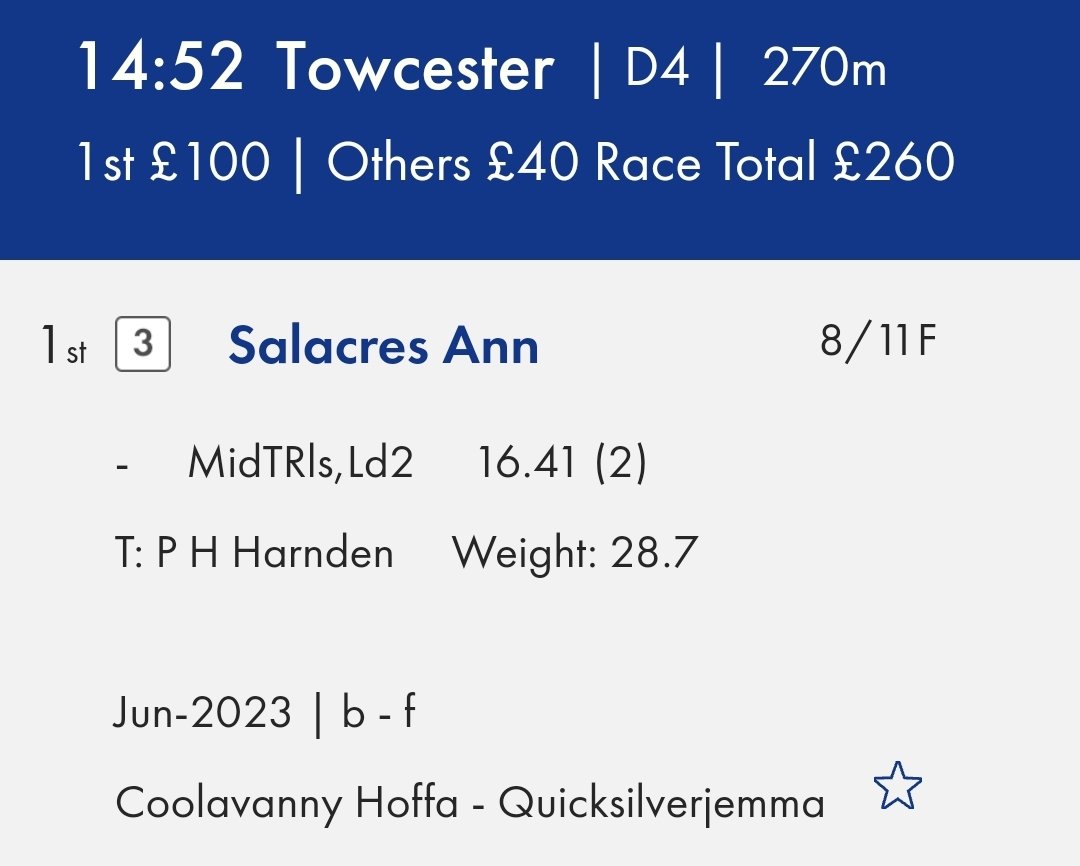 SALACRES_RACING's tweet photo. @SALACRES Ann wins D4 at Towcester racecourse for owner Peter Harnden #firstcareerwin @seanconway2008 https://t.co/XGe2pmbWPh
