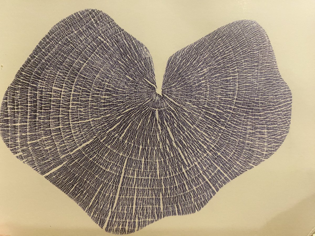 Thank you to everyone who voted in this year’s National Trust AGM. All the recommendations of the elected members’ Council were supported and carried. Attendees saw beautiful art by Shona Branigan - ‘Hartwood’ prints made from the remaining trunk of the felled Sycamore Gap tree.