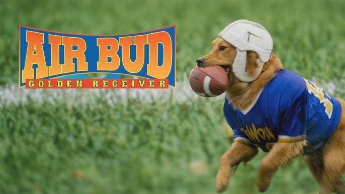 itstreyhall's tweet photo. Starting the day watching Air Bud: Golden Receiver was a surprisingly motivating way to kick off a college football saturday! https://t.co/fcpJOuyAo7