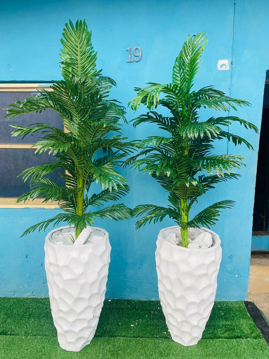 lagosdecorplug's tweet photo. Artificial potted plant combo. 😍😍

Comes exactly as seen.

Height: 7ft

Price: ₦108,000

Location: Lagos
Nationwide delivery available.

Send a DM to place your order. https://t.co/PCc7yOgDJr