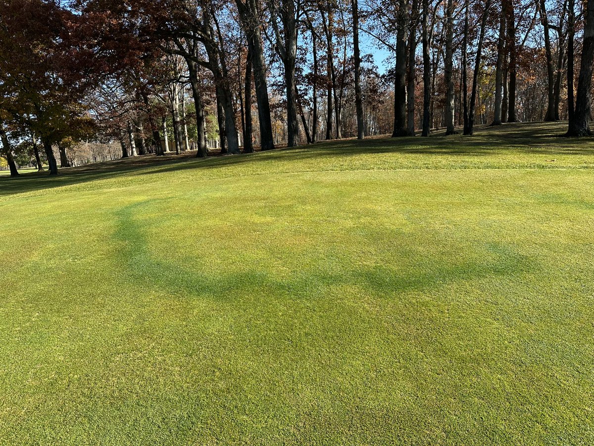 Ian Daniels, CGCS tweet media