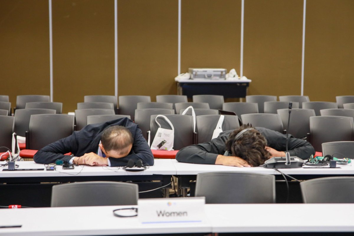 SergioSilva03's tweet photo. Bueno, el último mini 🧵de la #COP16 con unos artículos esenciales que resumen qué pasó anoche, en la última plenaria. Que valga la pena la trasnochada-madrugada. 

El 1⃣ es este de @danielaquinterd que explica por qué, hoy, se suspendieron las negociaciones ⬇️

(📸real, del UNB) https://t.co/xnHKrWHAD3