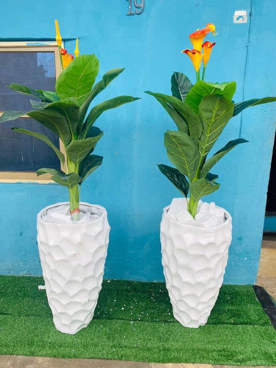 lagosdecorplug's tweet photo. Artificial lily plant combo. 😍😍

Comes exactly as seen.

Height: 6ft

Price: ₦98,500

Location: Lagos
Nationwide delivery available.

Send a DM to place your order. https://t.co/T1SWFAOD2E
