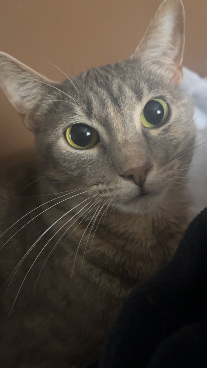 Whitespace (@spitespace) on Twitter photo 