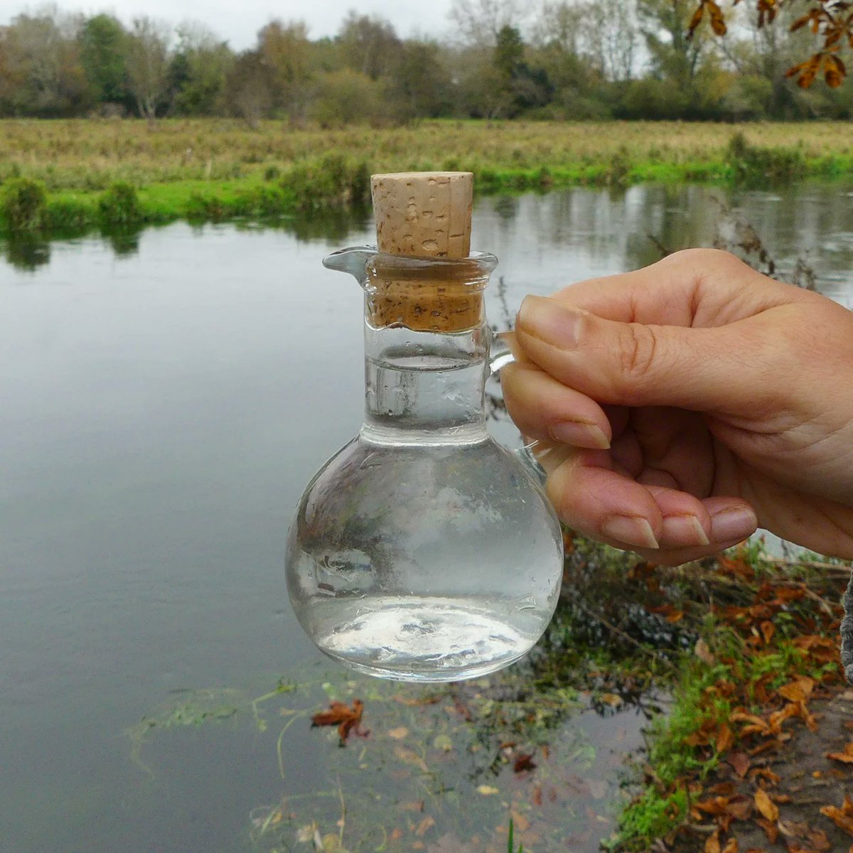 Ali Morse tweet media