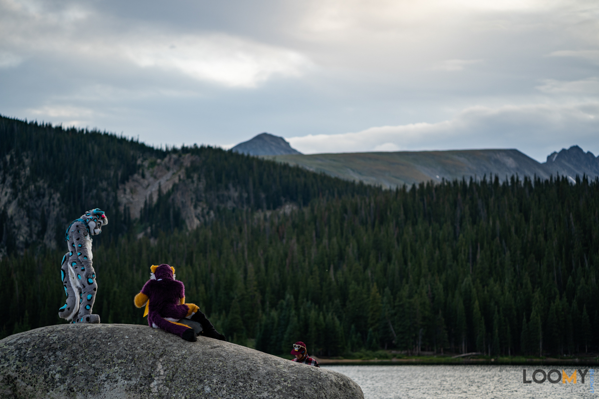 Loomy7's tweet image. 