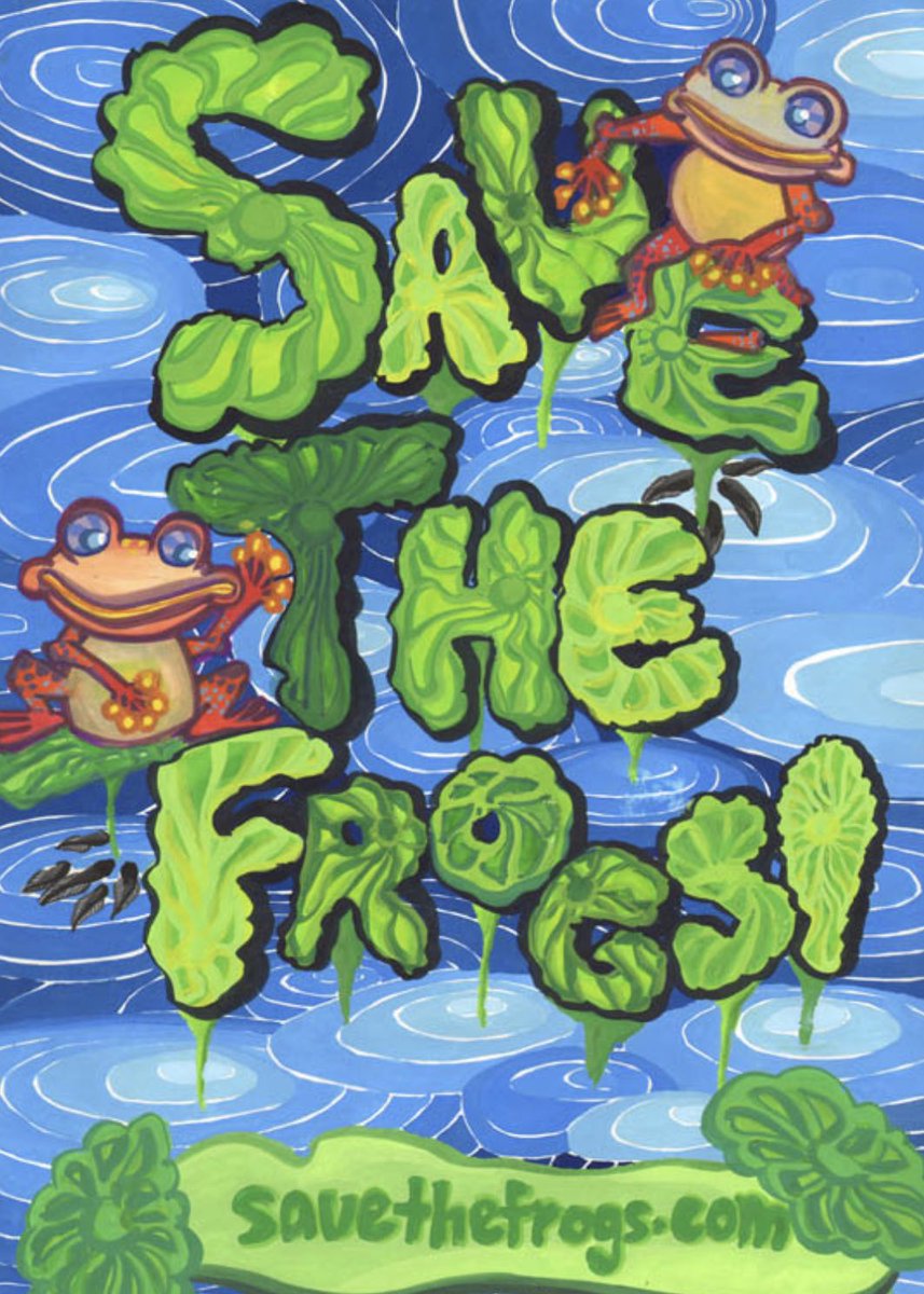 $FROGS CRYPTO tweet media