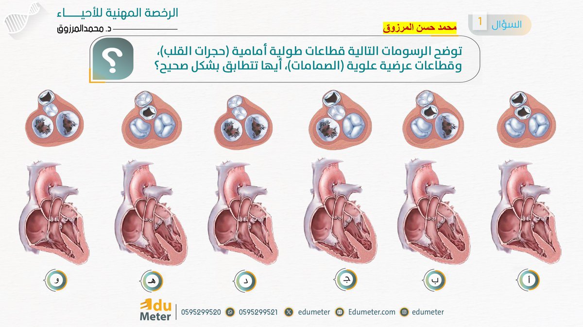 د. محمد حسن المرزوق🇸🇦 tweet media