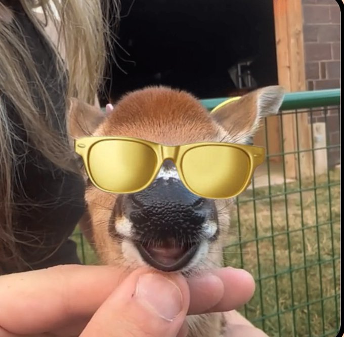 dan123's tweet photo. Send it to billions please #BabyDuur https://t.co/KG9XH9oy74
