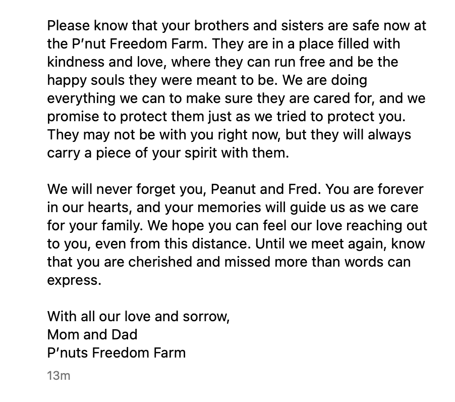 Peanut the Squirrel's owners just posted this on IG. I'm not crying, you're crying.