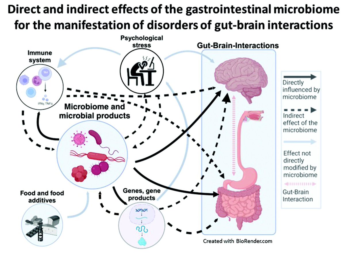 Rajan Singh (@rajan___singh) on Twitter photo 🚨Excellent review <a href="/tandfonline/">Taylor & Francis Research Insights</a> #GutMicrobes🆕🔥
▶️A #pathophysiologic framework for the #overlap of #disorders of #gut-#brain #interaction & role of the gut microbiome ‼️
🎯#Microbiota-🦠#Gut-#Brain🧠Axis matters most #GutConnectome🔁#BrainConnectome👏
⚡️Emerging evidence 🚨Excellent review <a href="/tandfonline/">Taylor & Francis Research Insights</a> #GutMicrobes🆕🔥
▶️A #pathophysiologic framework for the #overlap of #disorders of #gut-#brain #interaction & role of the gut microbiome ‼️
🎯#Microbiota-🦠#Gut-#Brain🧠Axis matters most #GutConnectome🔁#BrainConnectome👏
⚡️Emerging evidence