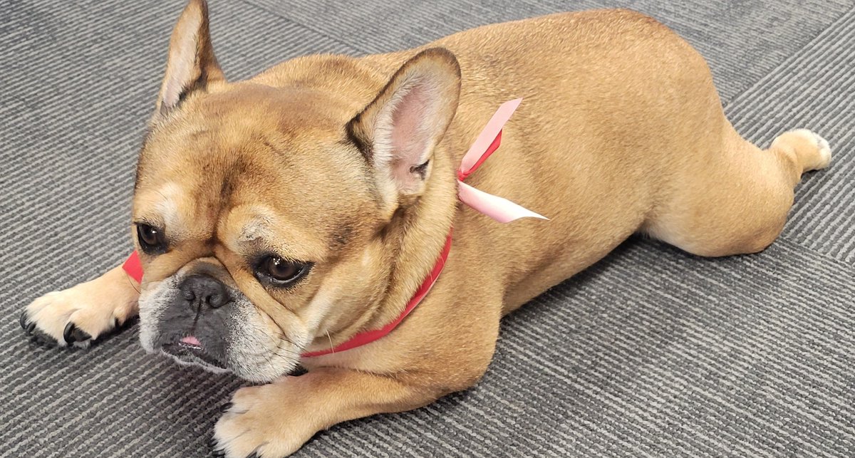 Robert Taylor🔥 tweet media