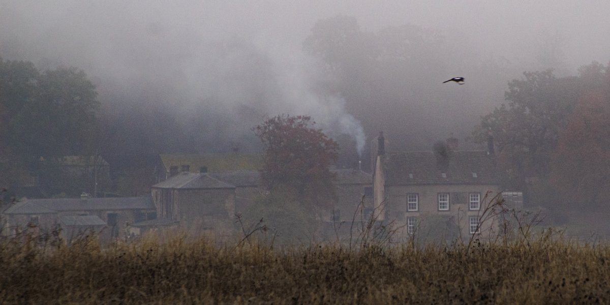 nomoth (@apevisions) on Twitter photo 