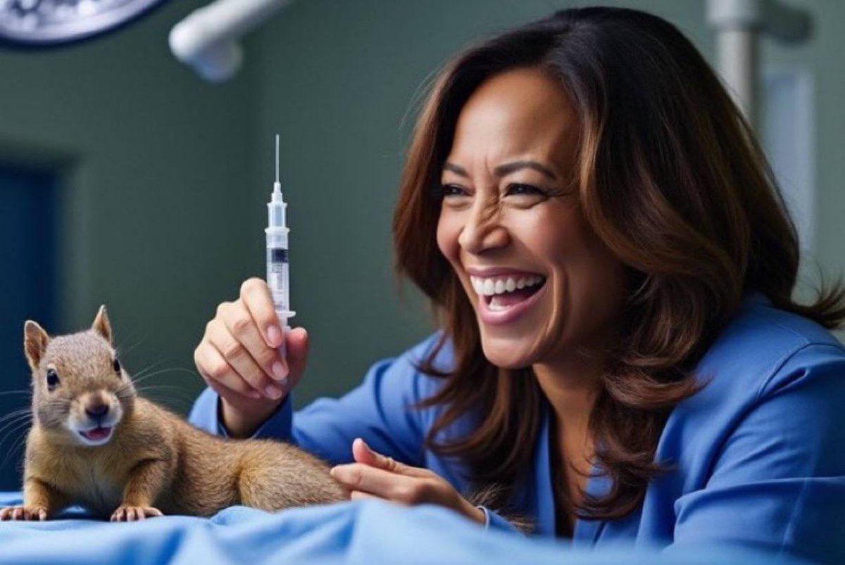 PNUT - Peanut The Squirrel tweet media