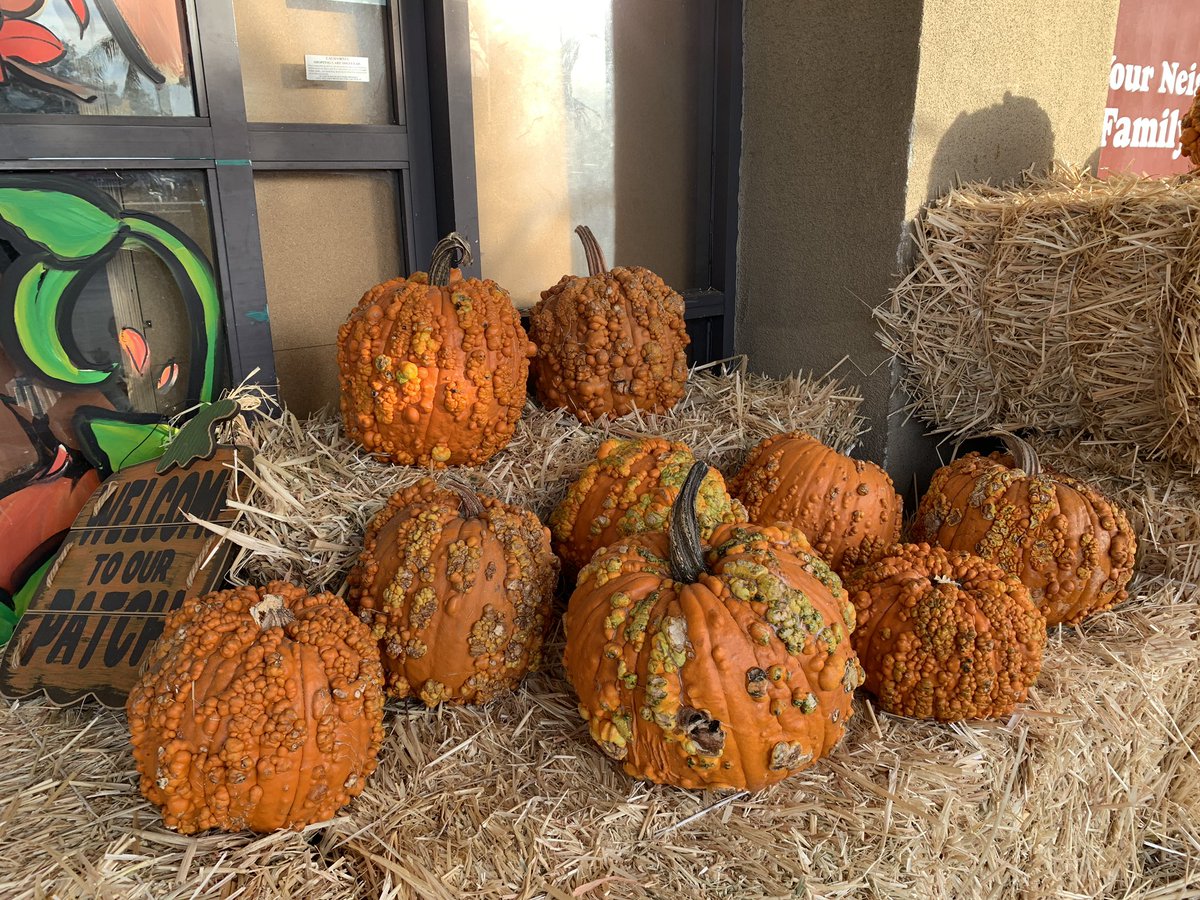 Sam Subity tweet media