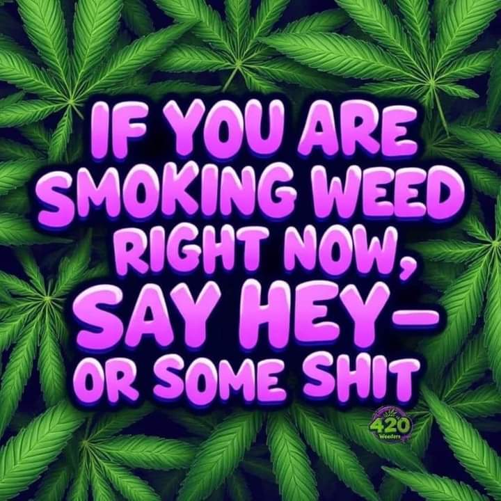 420Matt tweet media