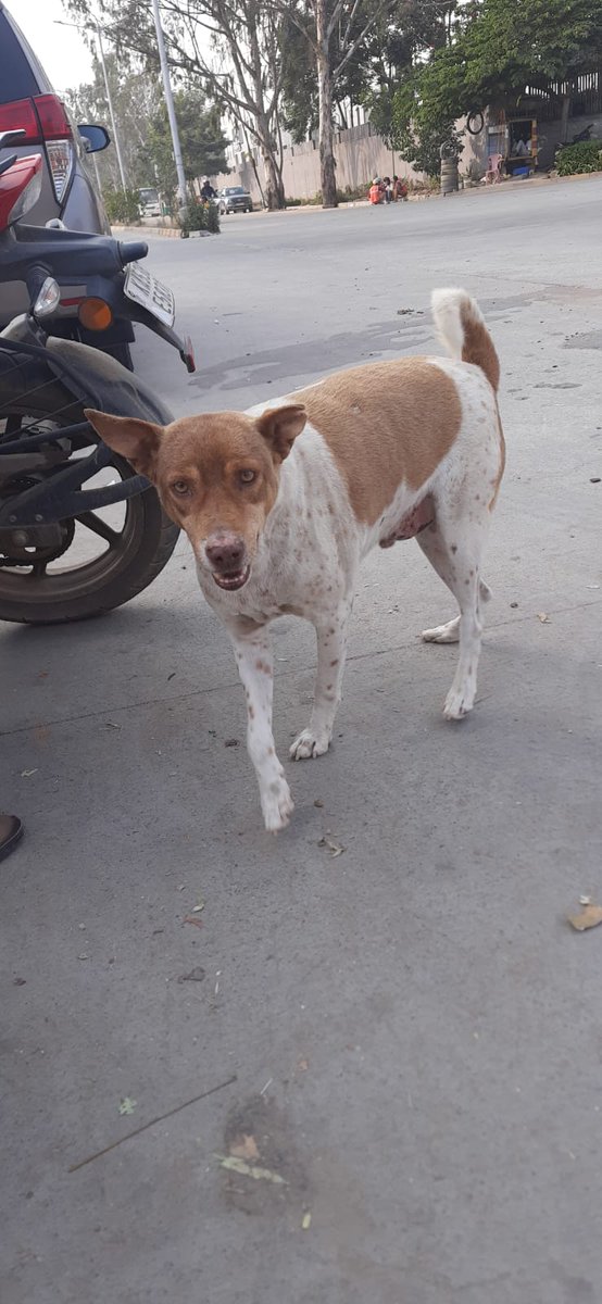 ANURADHA ACHARYA tweet media