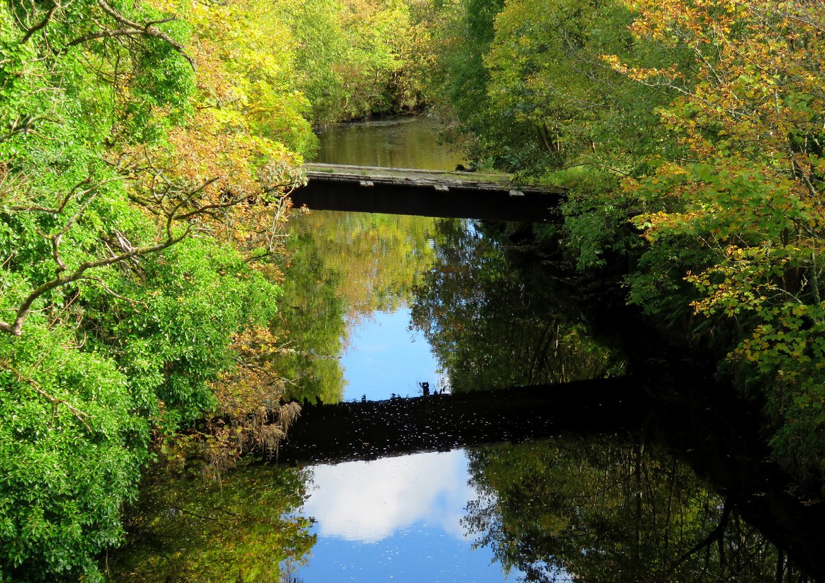 Brian Craig tweet media